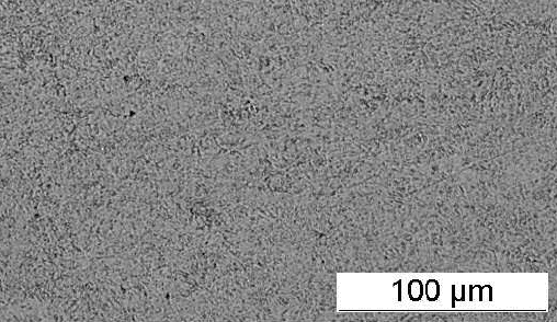 XM16-1.4543-ASTM-F899